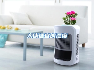 行业资讯人体适宜的湿度