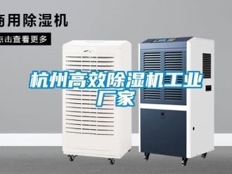 企业动态杭州高效除湿机工业厂家