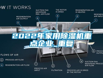 常见问题2022年家用除湿机重点企业_重复