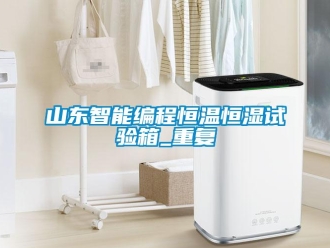 知识百科山东智能编程恒温恒湿试验箱_重复