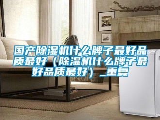 行业资讯国产除湿机什么牌子最好品质最好（除湿机什么牌子最好品质最好）_重复
