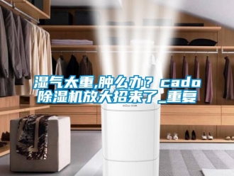 行业资讯湿气太重,肿么办？cado除湿机放大招来了_重复