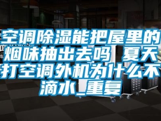 行业资讯空调除湿能把屋里的烟味抽出去吗 夏天打空调外机为什么不滴水_重复