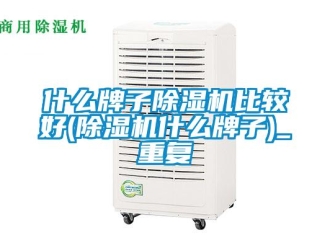 行业资讯什么牌子除湿机比较好(除湿机什么牌子)_重复