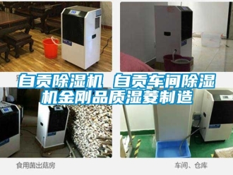 企业动态自贡除湿机 自贡车间除湿机金刚品质湿菱制造