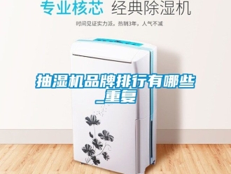 企业动态抽湿机品牌排行有哪些_重复
