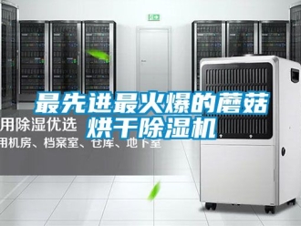行业资讯最先进最火爆的蘑菇烘干除湿机