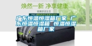 广东恒温恒湿箱厂家 广东恒温恒湿箱 恒温恒湿箱厂家
