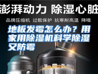 常见问题地板发霉怎么办？用家用除湿机科学除湿又防霉