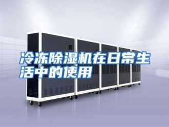 行业资讯冷冻除湿机在日常生活中的使用