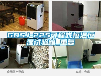 常见问题GDSJ-225可程式恒温恒湿试验箱_重复
