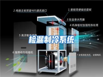 行业资讯检漏制冷系统