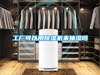 行业资讯工厂可以用除湿机来抽湿吗
