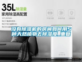 行业资讯没有除湿机的房间如何用5种天然植物去除湿度_重复