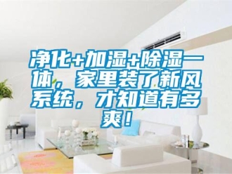 行业资讯净化+加湿+除湿一体，家里装了新风系统，才知道有多爽！