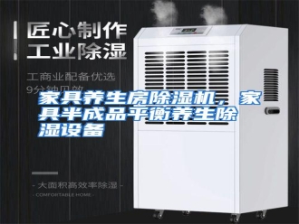 行业资讯家具养生房除湿机，家具半成品平衡养生除湿设备
