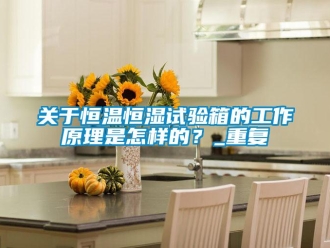 知识百科关于恒温恒湿试验箱的工作原理是怎样的？_重复