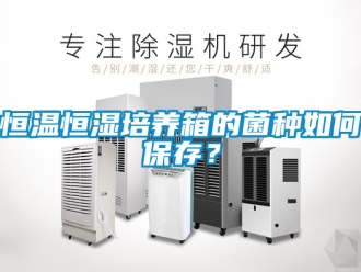 知识百科恒温恒湿培养箱的菌种如何保存？