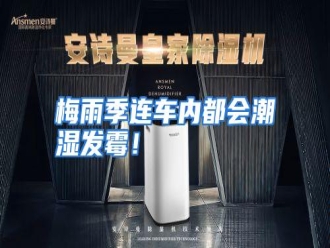 行业资讯梅雨季连车内都会潮湿发霉！
