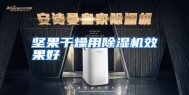 坚果干燥用除湿机效果好