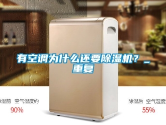 行业资讯有空调为什么还要除湿机？_重复