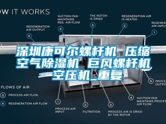 行业资讯深圳康可尔螺杆机 压缩空气除湿机 巨风螺杆机 空压机_重复