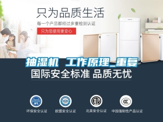 企业动态抽湿机 工作原理_重复