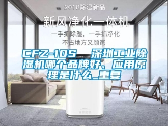 常见问题CFZ-10S  深圳工业除湿机哪个品牌好、应用原理是什么_重复
