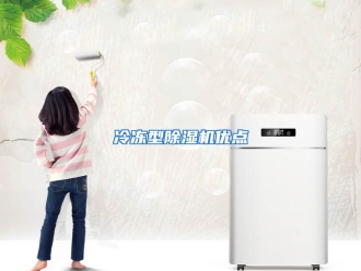 行业资讯冷冻型除湿机优点