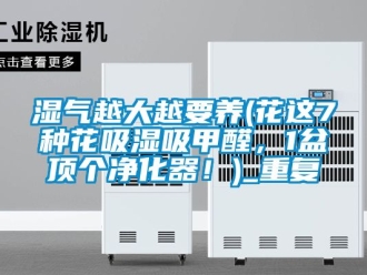 企业动态湿气越大越要养(花这7种花吸湿吸甲醛，1盆顶个净化器！)_重复