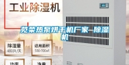 苋菜热泵烘干机厂家 除湿机