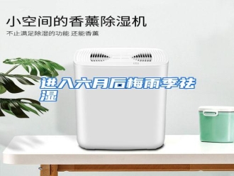 行业资讯进入六月后梅雨季祛湿