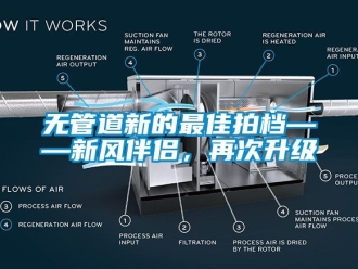 企业动态无管道新的最佳拍档——新风伴侣，再次升级