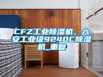 常见问题CFZ工业除湿机，六安工业级9240C除湿机_重复