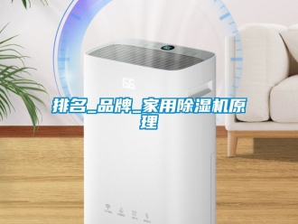 企业动态排名_品牌_家用除湿机原理
