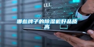哪些牌子的除湿机好品质高