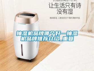 企业动态抽湿机品牌哪个好—抽湿机品牌推荐介绍_重复
