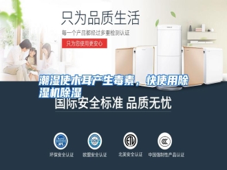 知识百科潮湿使木耳产生毒素，快使用除湿机除湿