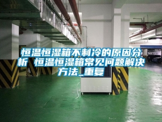 知识百科恒温恒湿箱不制冷的原因分析 恒温恒湿箱常见问题解决方法_重复