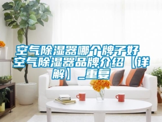 行业资讯空气除湿器哪个牌子好 空气除湿器品牌介绍【详解】_重复