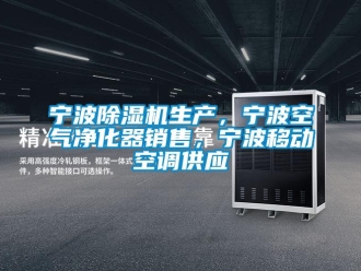 行业资讯宁波除湿机生产，宁波空气净化器销售，宁波移动空调供应