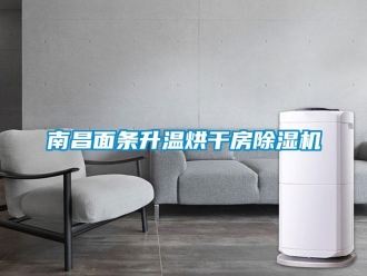 行业资讯南昌面条升温烘干房除湿机
