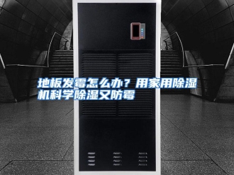 常见问题地板发霉怎么办？用家用除湿机科学除湿又防霉