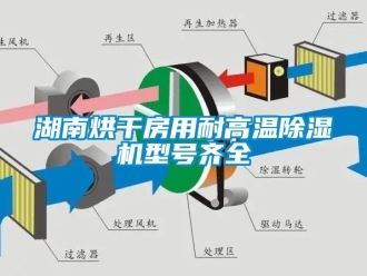 行业资讯湖南烘干房用耐高温除湿机型号齐全