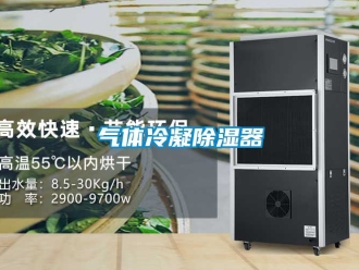 行业资讯气体冷凝除湿器
