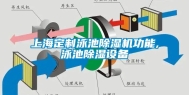 上海定制泳池除湿机功能,泳池除湿设备