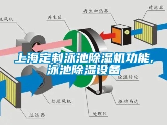 行业资讯上海定制泳池除湿机功能,泳池除湿设备