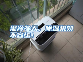 行业资讯湿冷冬天，除湿机刻不容缓！