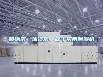 企业动态喷涂房、油漆房、晾干房用除湿机