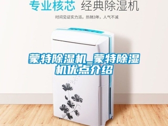 行业资讯蒙特除湿机_蒙特除湿机优点介绍